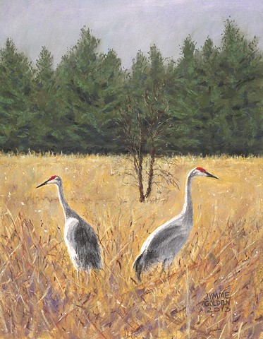 Sandhill Crane, Crex Meadows Wildlife Area, Pastel Painting