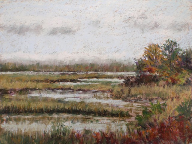 Crex Meadows, Lake, Wetland, Landscape