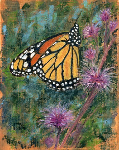 Monarch, Butterfly, Wildflower, Pollinator