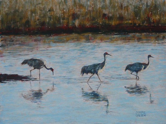Sand Hill Cranes, Crex Meadows, Birds, Wildlife, Landscape