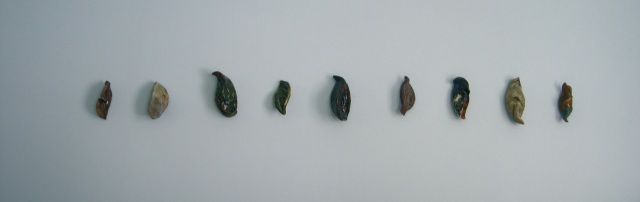 Seed pods I
