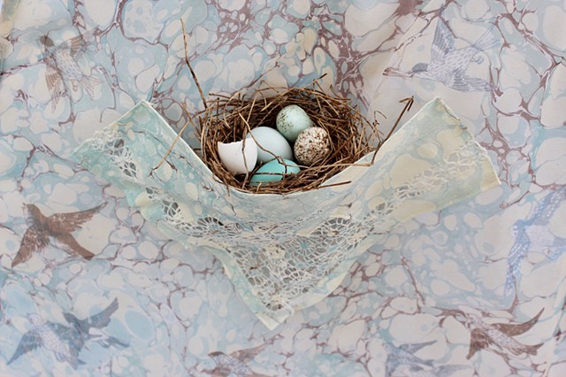 Bird's Nest Protector Apron (detail)
