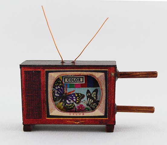 Insect Dreams: a miniature scrolling television book by Lesley Patterson-Marx