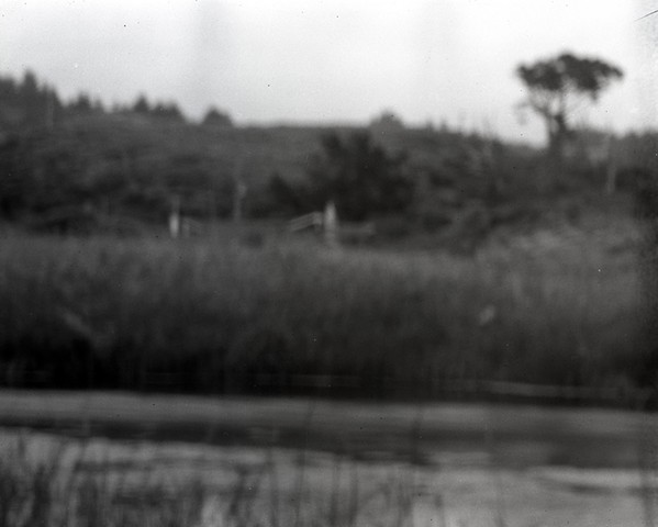 Gazo's Creek, CA: 4x5 Black and White Film