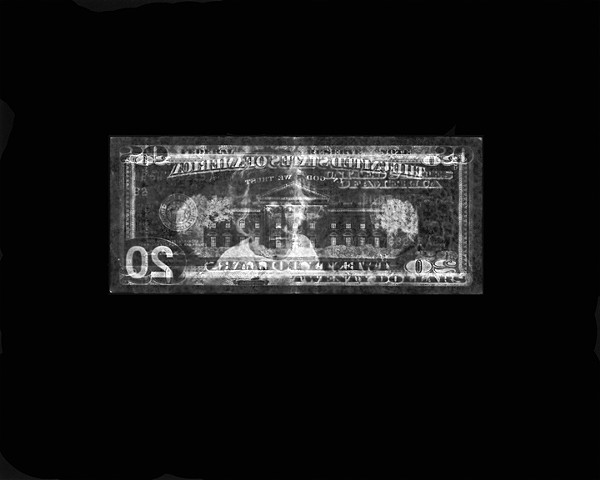Twenty Dollar Bill Detail