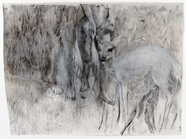 Contemporary mixed media drawing of deer emerging from ethereal landscape, exploring interspecies encounter and ecological vulnerability through layered charcoal and wash techniques
