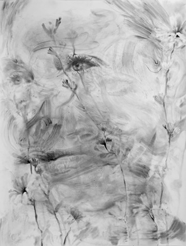 Lacey McKinney, Contact Zone series, graphite and charcoal drawing depicting ethereal hybrid forms merging human faces and wildflower stems. Monochromatic artwork explores feminist ecology and interspecies entanglement through layered, translucent imagery suggesting transformation and ecological crisis. Contemporary figurative drawing investigating human-nature relationships on Haudenosaunee territory in upstate New York.