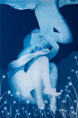 Cyanotype photogram