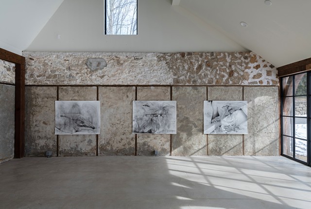 Installation view of three monochromatic drawings from Lacey McKinney's Contact Zone series displayed on historic stone wall at Foundation House artist residency in Greenwich, Connecticut. The graphite and charcoal works depict hybrid forms merging human, animal, and plant elements, exploring feminist ecology and interspecies relationships. Natural light streams through tall windows onto concrete floor of renovated gallery space.