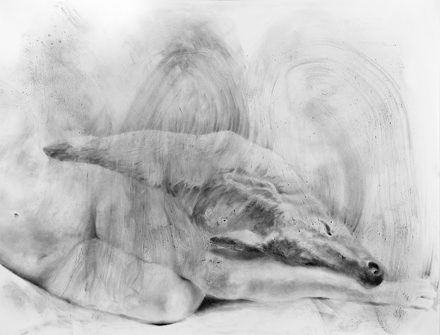 Monochromatic graphite drawing on paper of reclining female nude and deer.