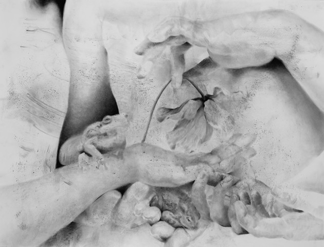 Monochromatic graphite drawing on paper of human hands, frogs, and toads.