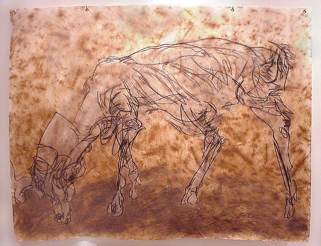 Virginia Deer, Drawing on Instincts series