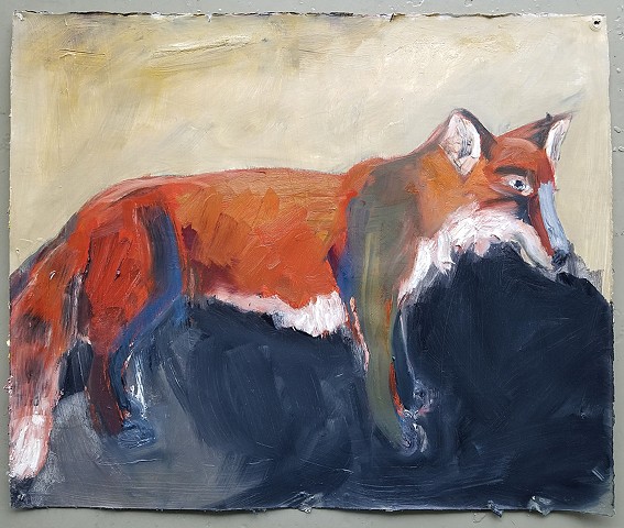 FOX Shadow