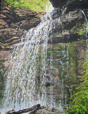 Minnejujuwaha Falls (Ferns)