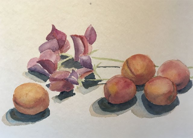 Sweet peas and apricots