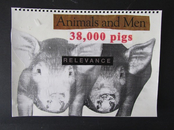 Men and Pigs