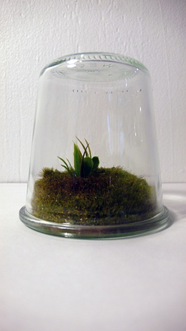 Grass view jar