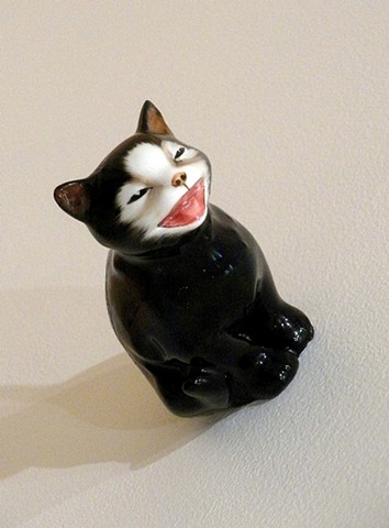 Hurri-Cat