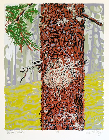 Lichen Woodland