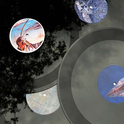 12 inch vinyl's