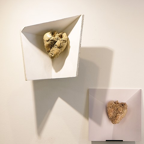 Cavity: Heart and Sleeve