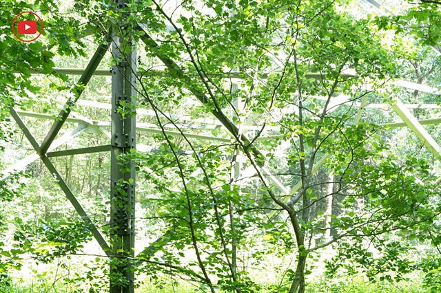 Tracking Pylons