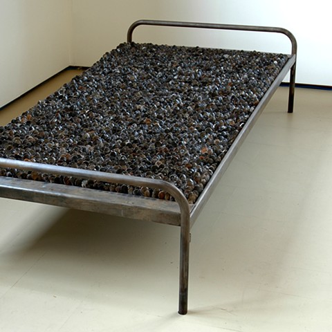 Mussel Bed

