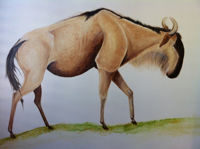 wildebeest mural 2012