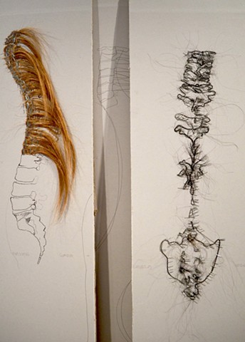 hair sculpture, hair drawing, spine sculpture, hair spine drawing