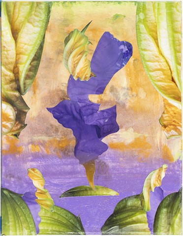 Iris at the Squash Blossom Theater