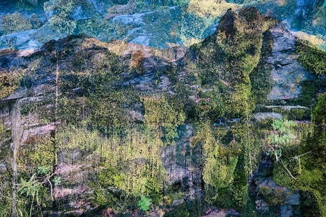 Glacier National Park, After the Fire