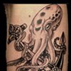 Octopus & anchor