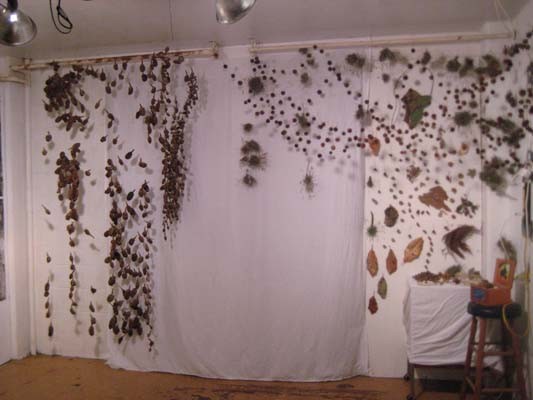 Collection of Pods