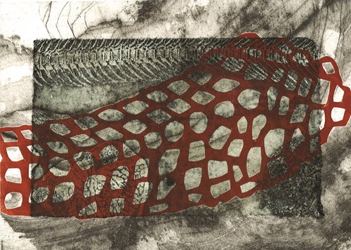 Image from 'Fossil Series'
