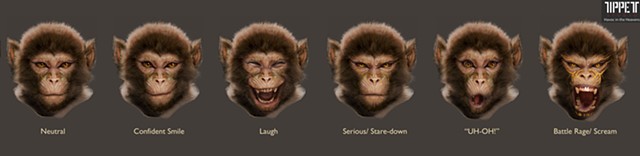 Monkey King Facial expressions
