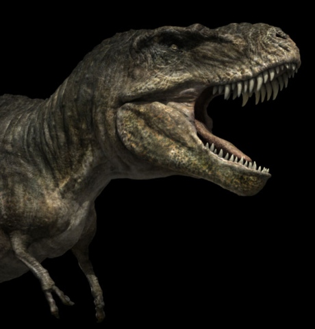 DINOSAURS ALIVE! / Tarbosaurus Bataar