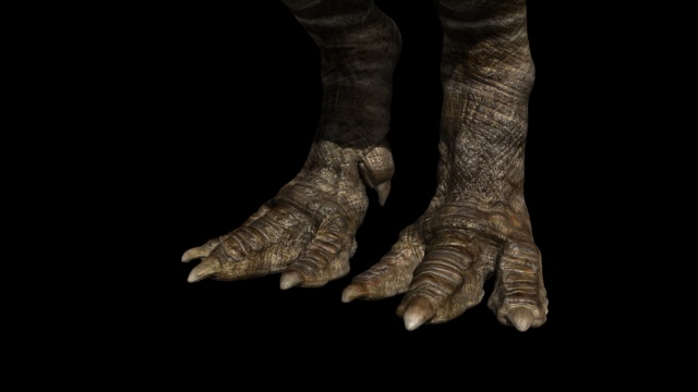 Rajasaurus foot detail