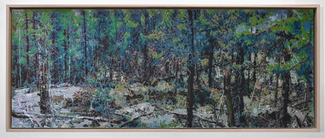 In the Woodlands #21