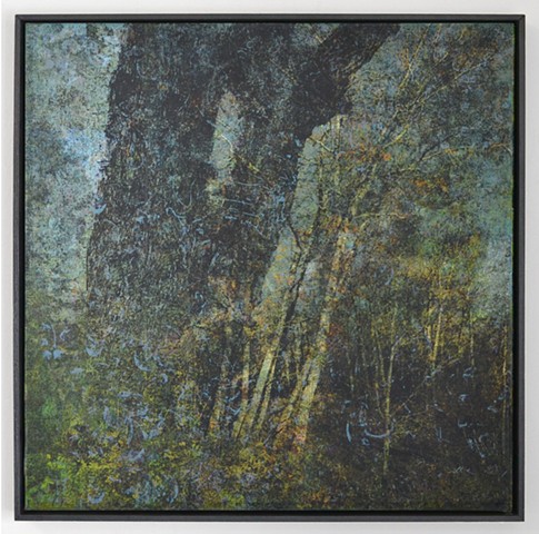 In the Woodlands #14