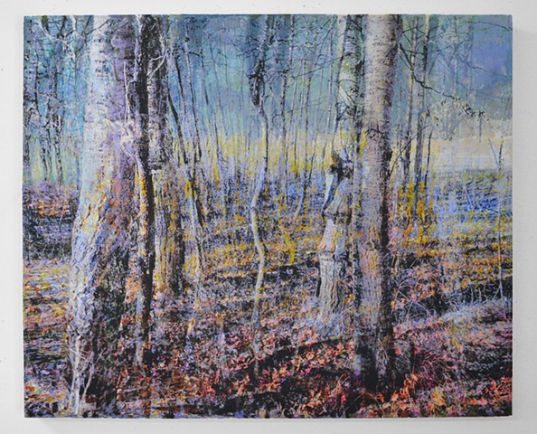 In the Woodlands #34