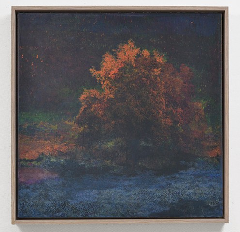 In the Woodlands #47