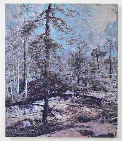 In the Woodlands #26