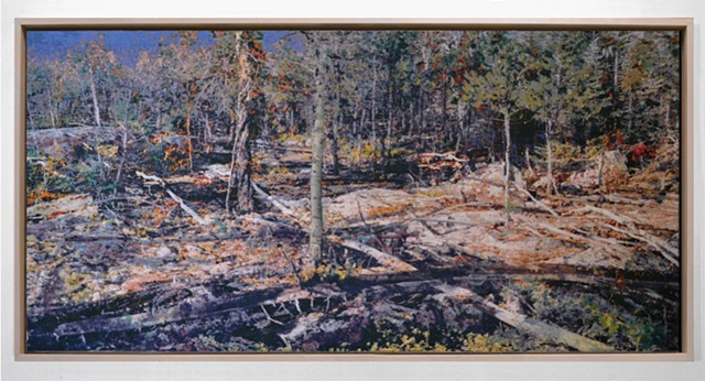 In the Woodlands #33