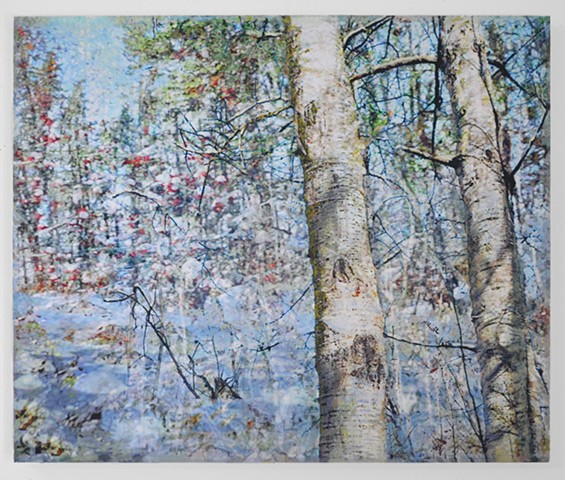 In the Woodlands #17