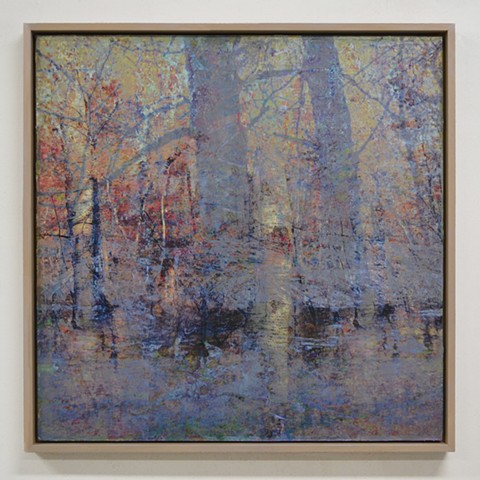 In the Woodlands #31