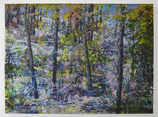 In the Woodlands #18