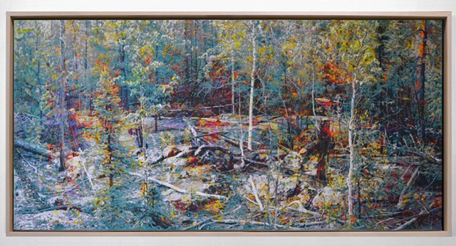 In the Woodlands #30