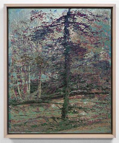 In the Woodlands #28