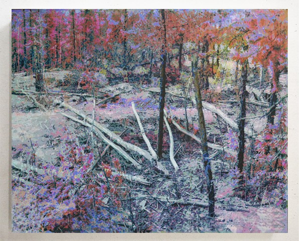 In the Woodlands #23