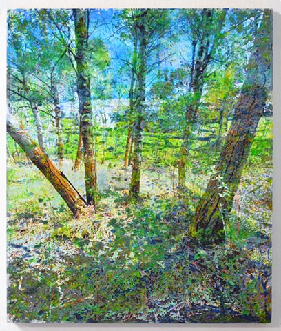 In the Woodlands #15